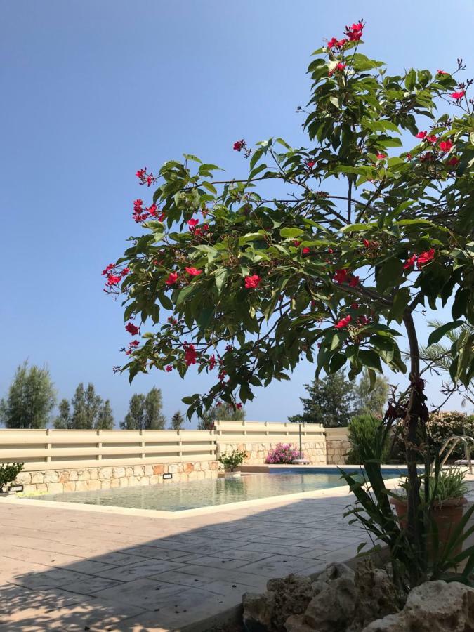 Savvas Villa Argaka Bagian luar foto